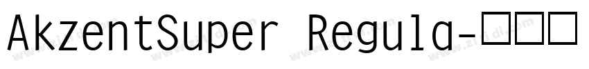 AkzentSuper Regula字体转换